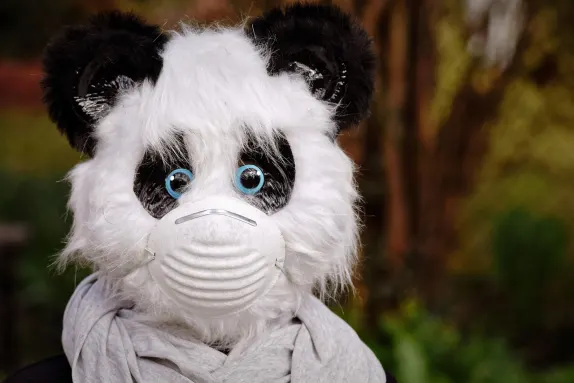 קזינו וולקנו בינגו תמיכה